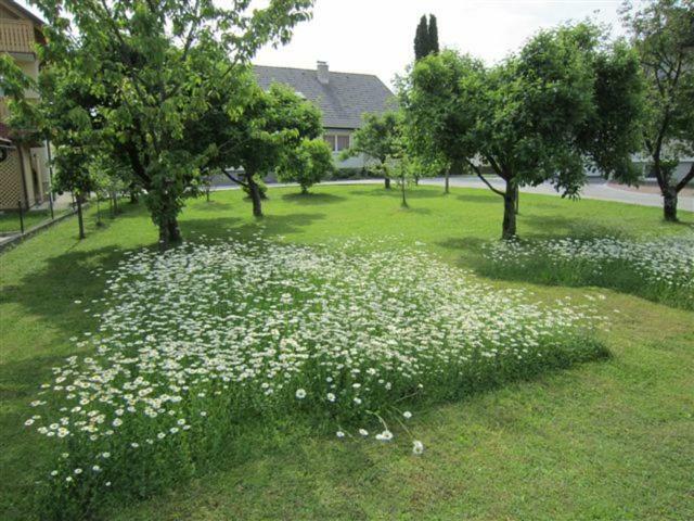 Apartma Majda Apartment Bled Exterior photo